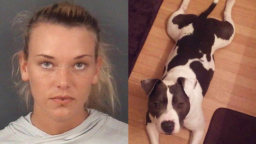 Vet who killed her therapy dog commits suicide