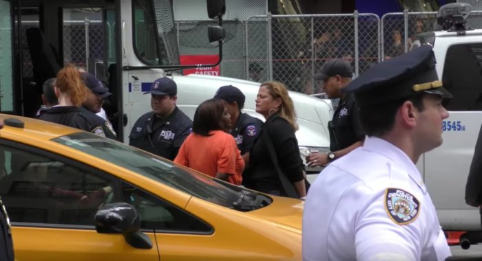 Council Speaker Mark-Viverito, Congressmembers arrested at Trump Tower DACA protest.
