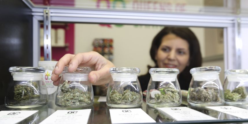 Tax on pot could generate $100M annually: Officials