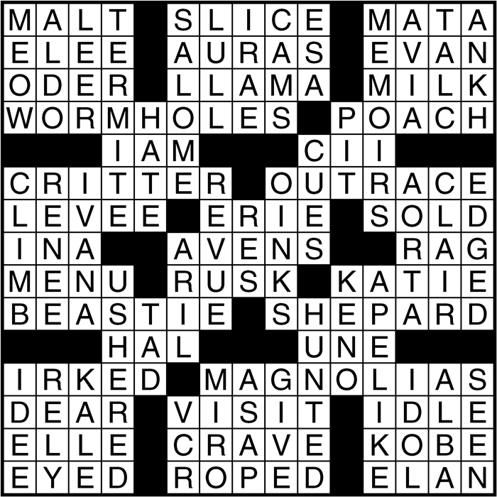 Crossword puzzle answers: January 11, 2017