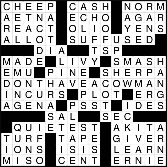 Crossword puzzle answers: January 19, 2017