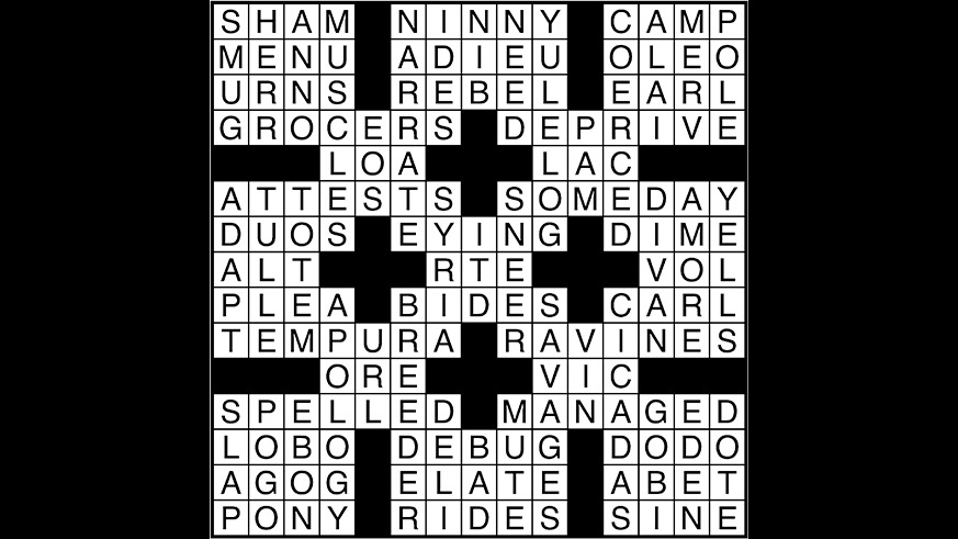 Crossword puzzle answers: July 20, 2017