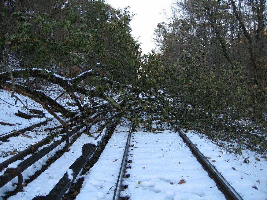 Due to several power poles that were downed during Winter Storm Quinn, there is no Metro-North Harlem Line service between Goldens Bridge and Southeast 'until further notice.'