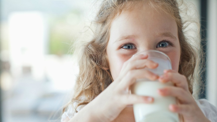 Milk Alternatives Study