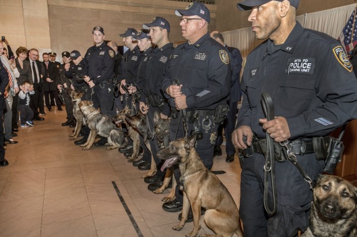 Thirteen MTA police K-9 and human officers just completed an intensive 12-week explosives training course upstate in the nation’s only mass transit-specific center.