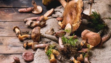 Move over kale. Mushrooms are the new buzzy superfood