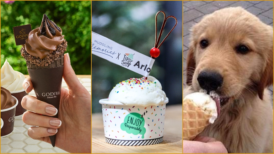 Find free ice cream in NYC on National Ice Cream Day from Godiva, Tipsy Scoop and even dog-friendly frozen treats from Wag!