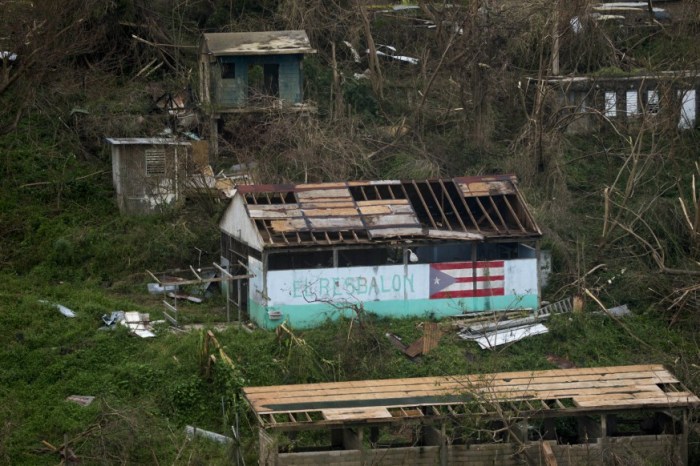 A New York City native will host a medical camp on the Puerto Rican island of Vieques to treat residents devastated by Hurricane Maria.