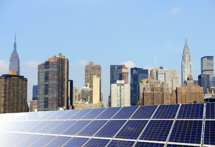 NYCHA is seeking applications from community-based organizations and small solar developers to install community solar gardens on 325 rooftops at 65 developments.