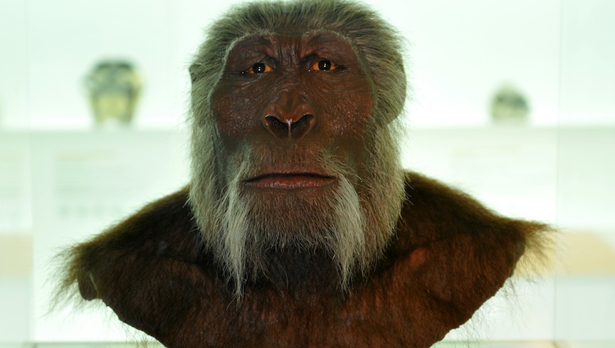 Early man may have contracted genital herpes from eating this ancient ...