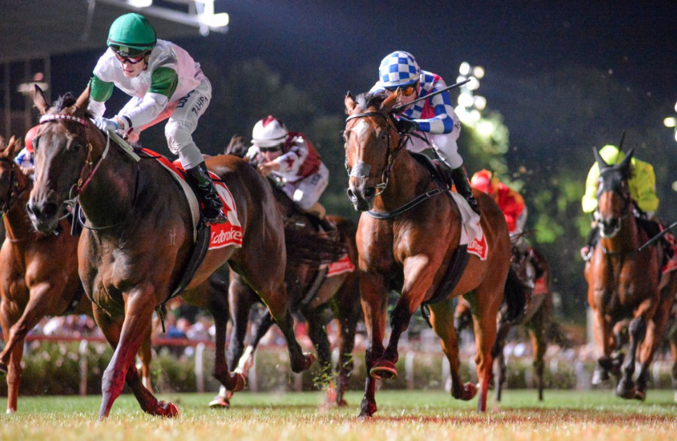 Pegasus World Cup Turf Invitational horse racing odds