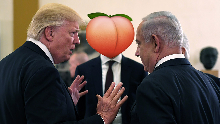 President Trump Peach