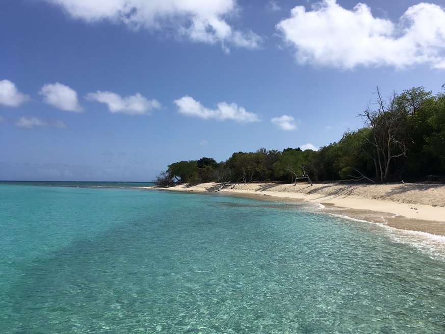 Turtle Beach in St. Croix is regarded as one of the most beautiful beaches in the world. | Jennifer Logue