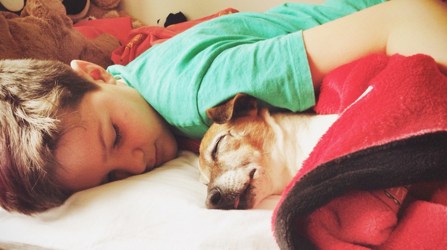 Sharing the bed with your dog actually helps you sleep better