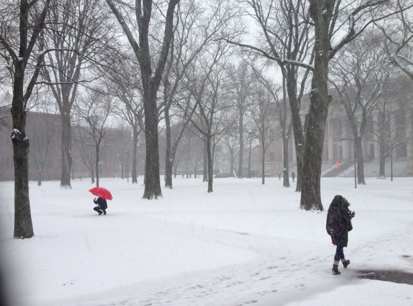 The snowstorm has started: What you need to know in Boston