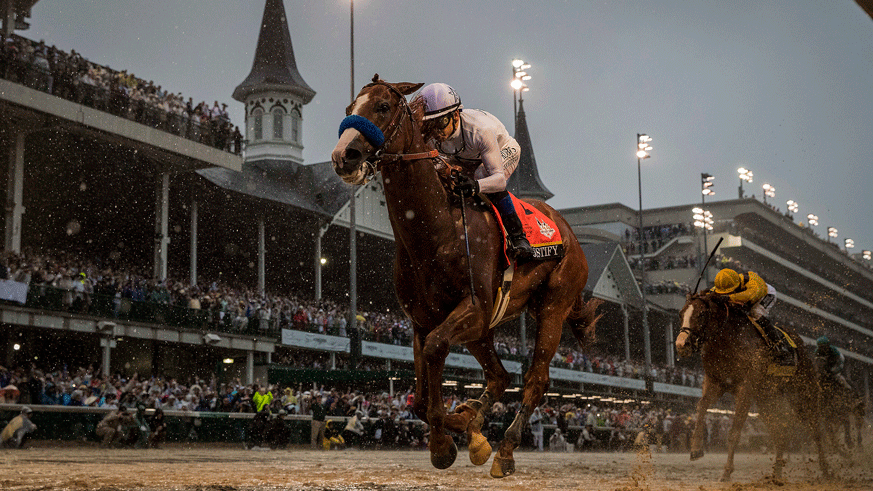 Horses that have won both Kentucky Derby, Preakness Stakes