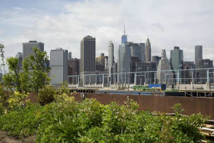 Swale, the free and edible floating food forest atop a 5,000-square-foot barge, will dock at Brooklyn Army Terminal for the summer.