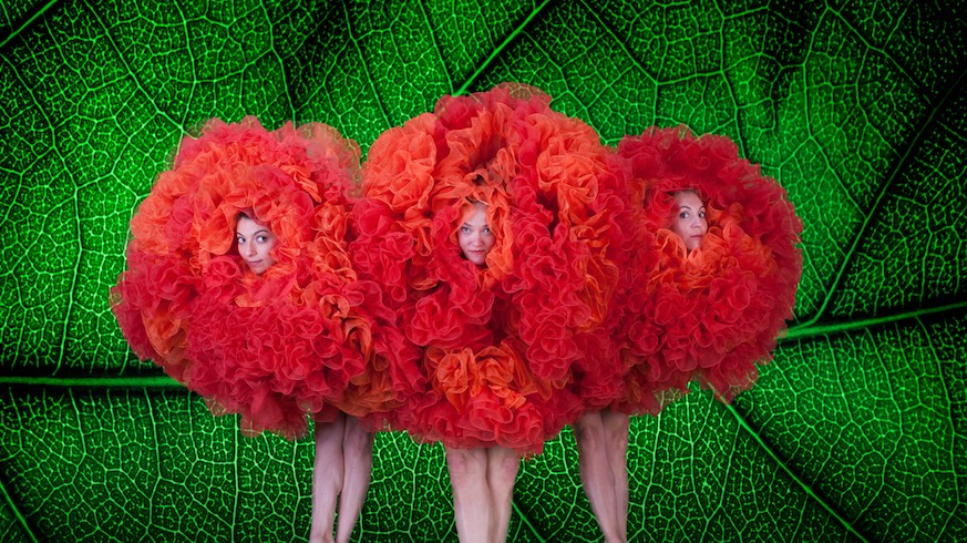 No one else does dance like Momix and more things to do in New York City this weekend.