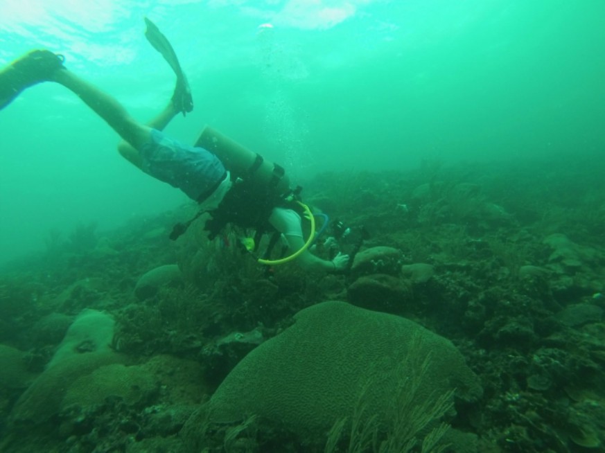 Tim Briggs, a Northeastern student, takes underwater photographs. Photo: Provided by Volcolm