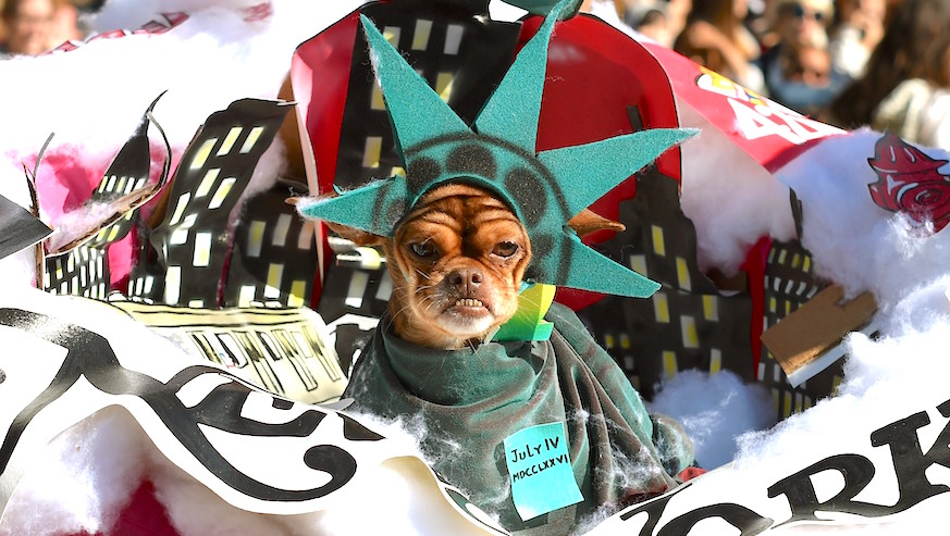The Tompkins Square Halloween Dog Parade is canceled after 28 years unless it can raise $15,000.
