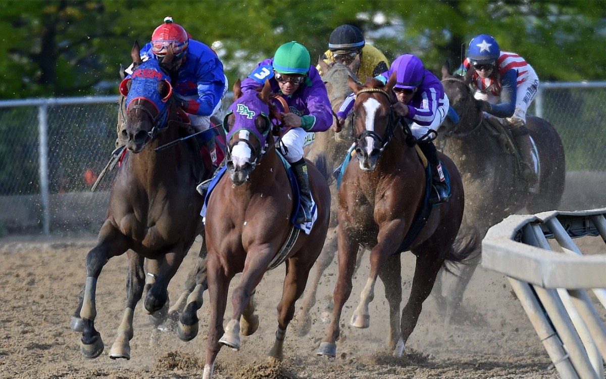 Top online horse betting site Best for Preakness Stakes 2019