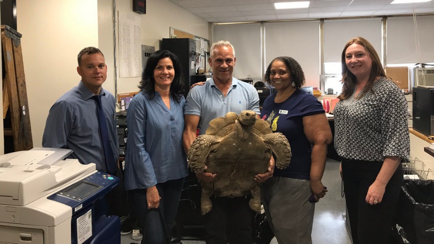 A man involved in the theft of a tortoise from a Queens environmental facility turned himself in Tuesday.