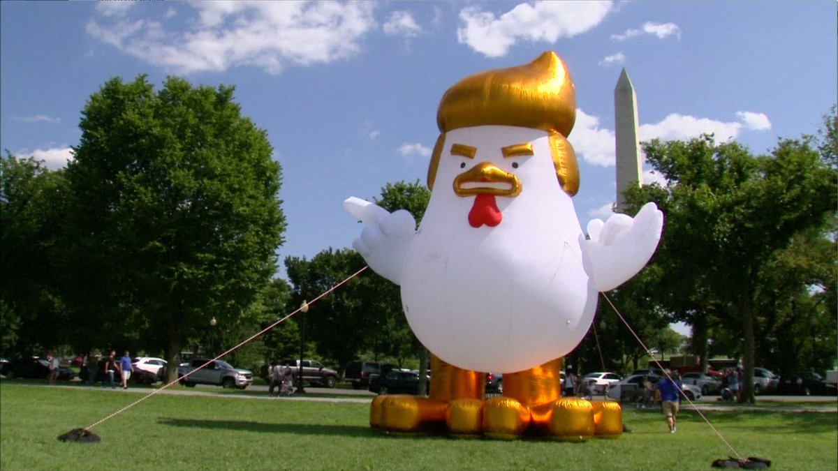 trump chicken, chicken trump, inflatable trump chicken, white house, president trump