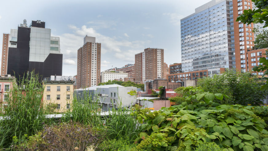 NYC passes new urban agriculture bill