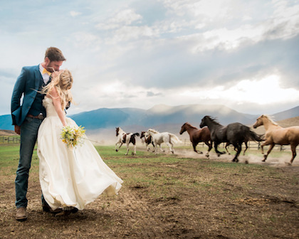 Wild horses won't keep people from seeing your special day.