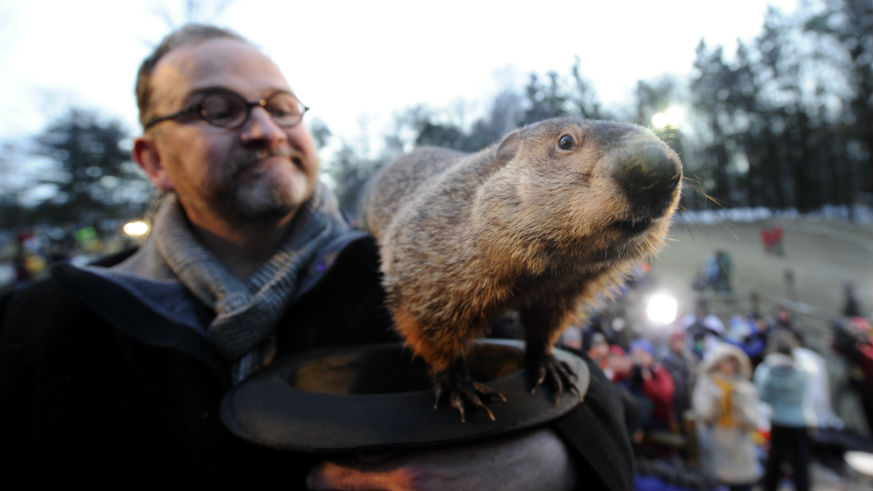 what happens if the groundhog sees his shadow