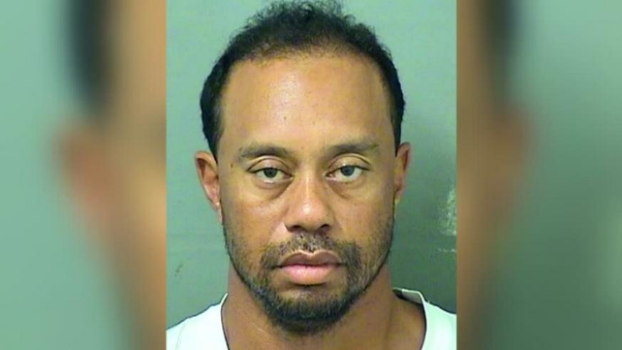 What, Drugs, Was, Tiger, Woods, On, Taking