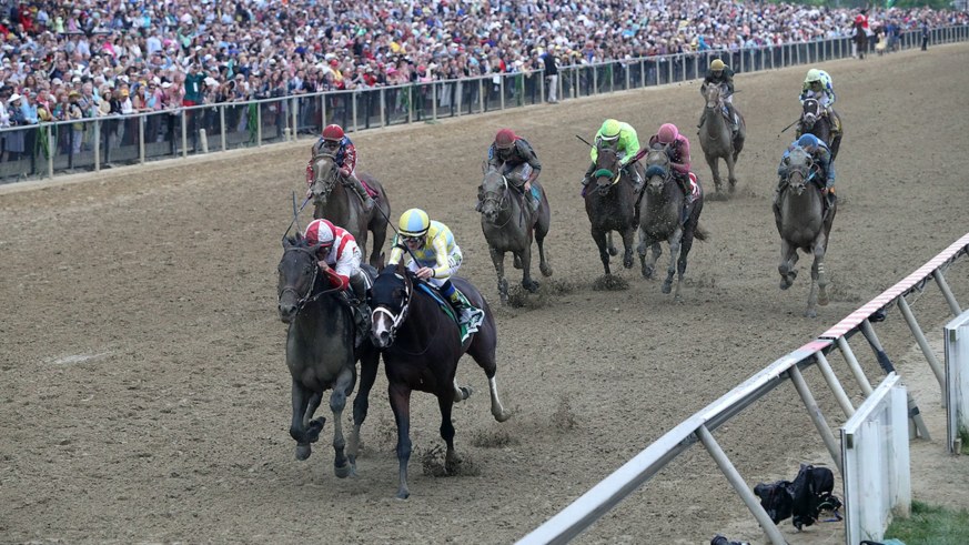 What, time, does, Preakness, start, updated, odds