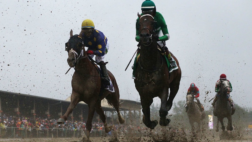 what, time, preakness, horse, race, start, odds, end