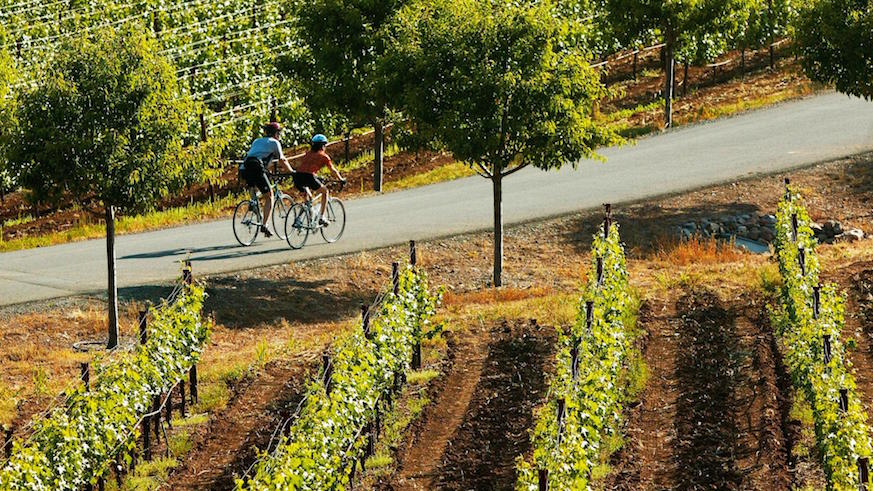 Cycle through the Sonoma Valley with Wine Country Bikes.