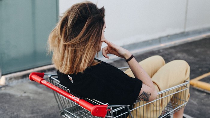 woman in shopping cart