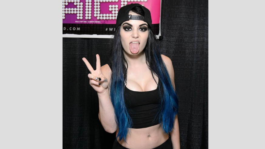 WWE, Wrestler, Paige, Alberto Del Rio