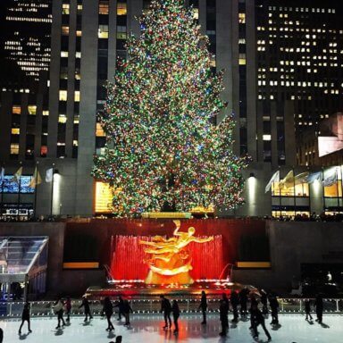 The four most famous Christmas trees