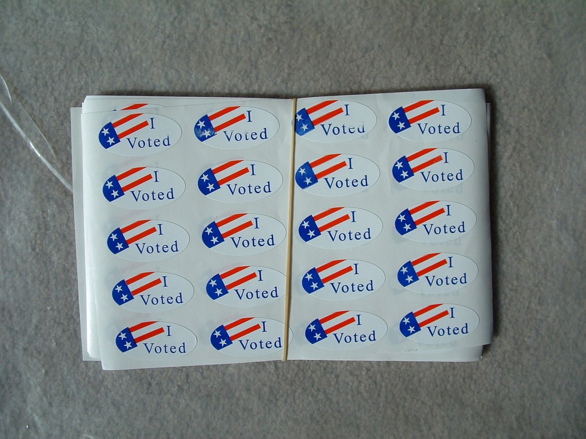 Woman raises cash online to buy “I Voted” stickers for her city