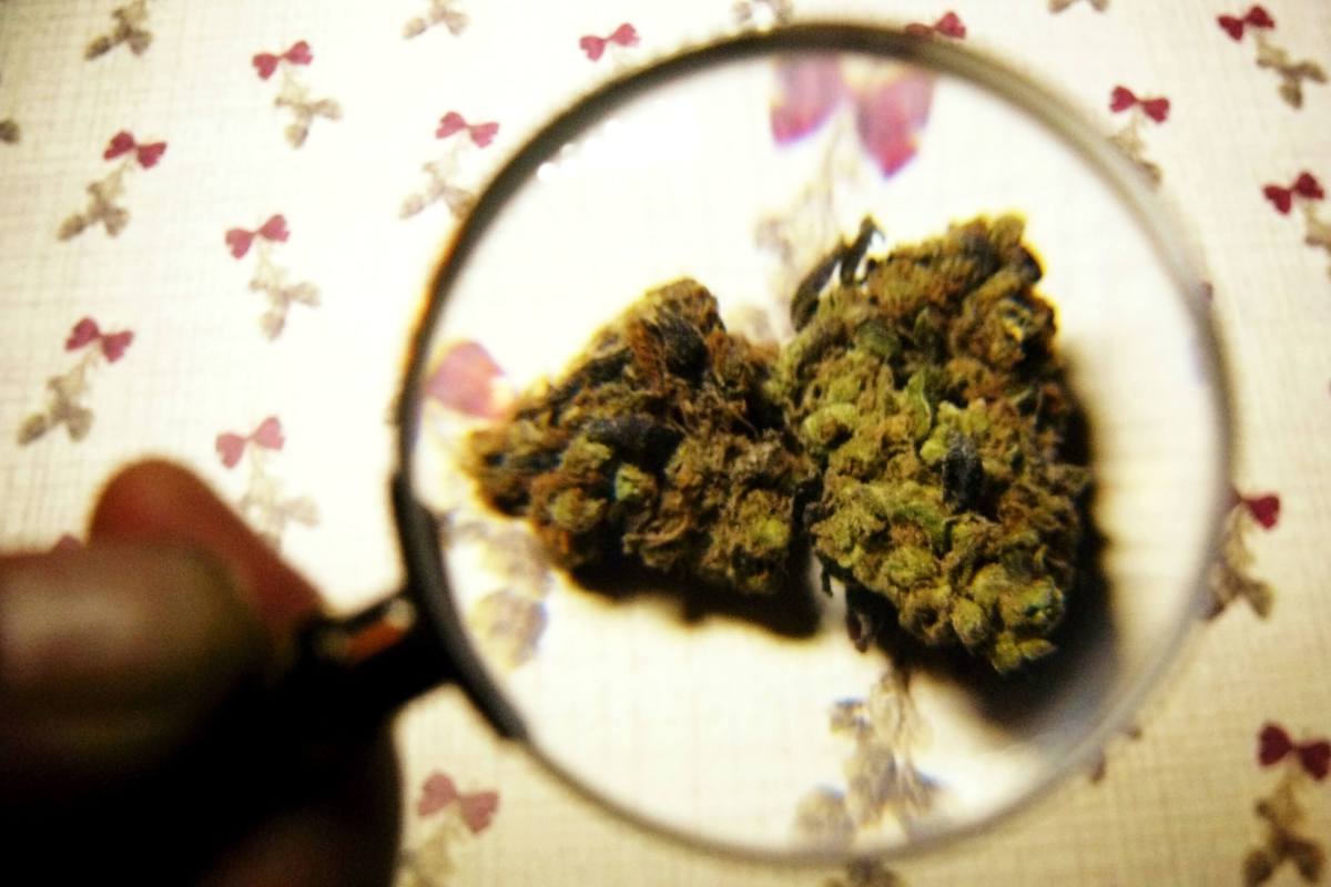 Experts to take your marijuana science questions on 4/20 at Aeronaut