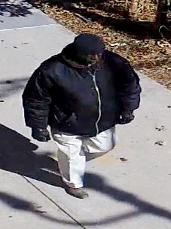Armed robberies victimizing elderly women may be related: NYPD