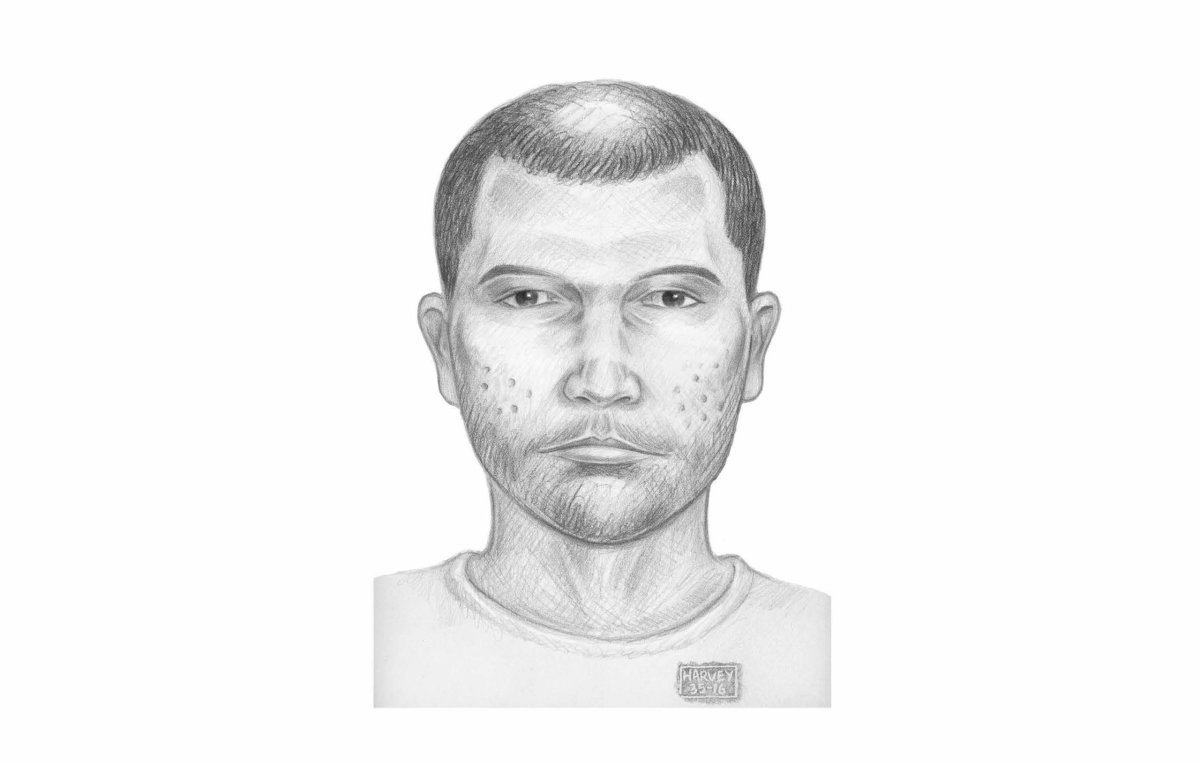 Sketch released of man who pushed teen onto subway tracks in Queens