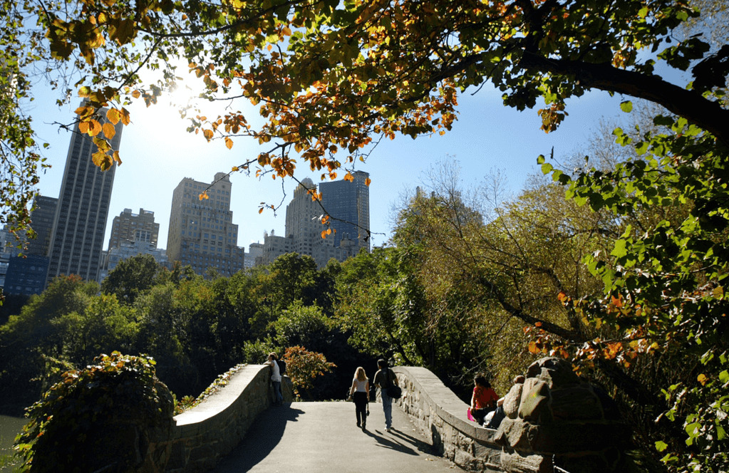 Man who allegedly raped woman in Central Park found, not charged