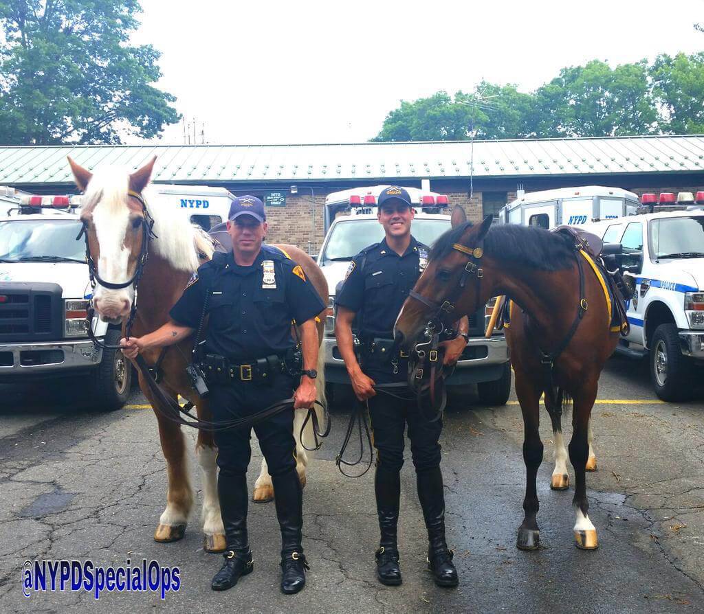 NYPD Mounted Unit cops chase, capture fleeing mugger