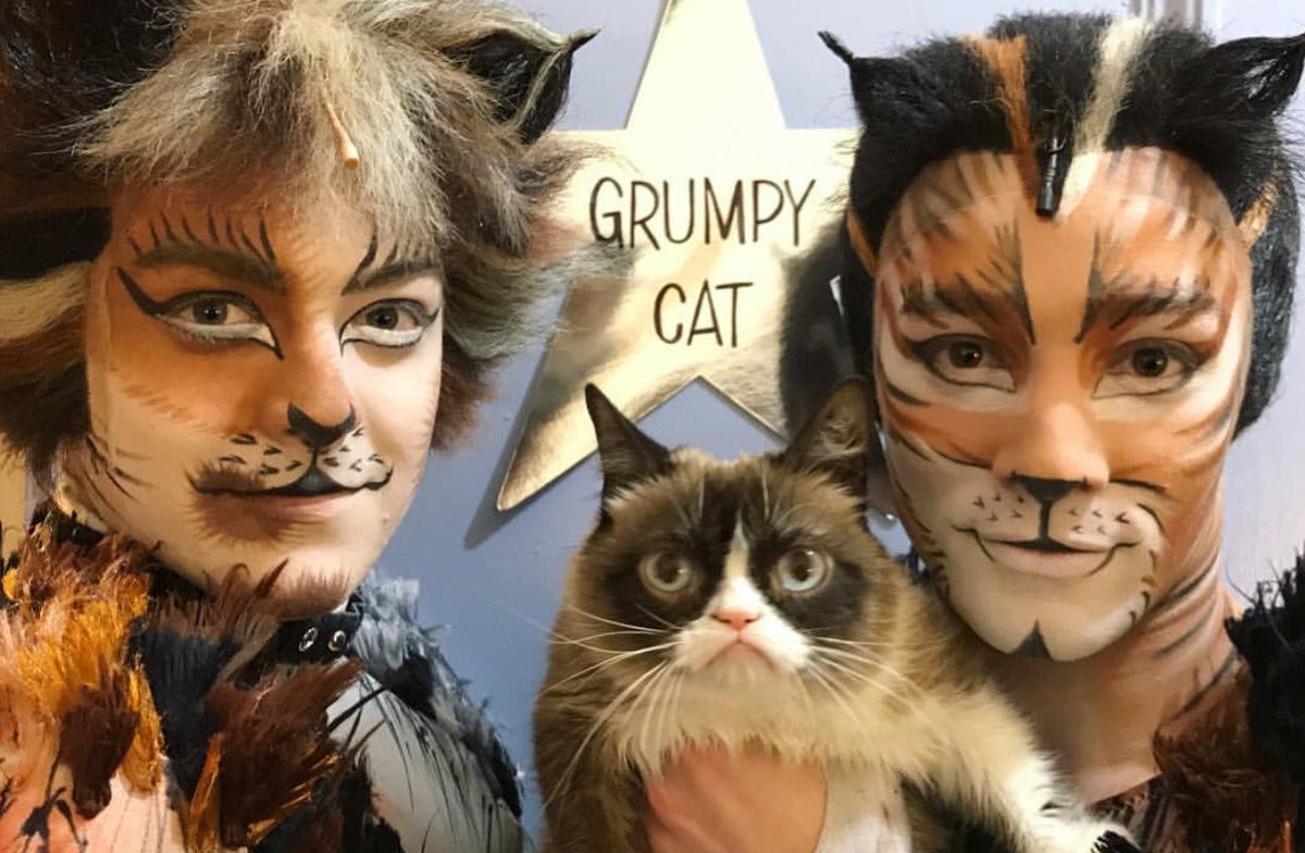 Grumpy Cat sees ‘Cats’ on Broadway, hates it