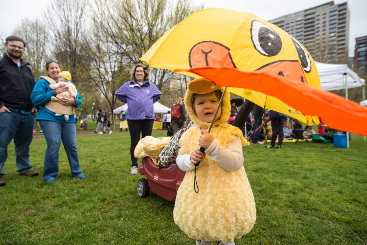PHOTOS: Duckling Day at the Boston Public Garden