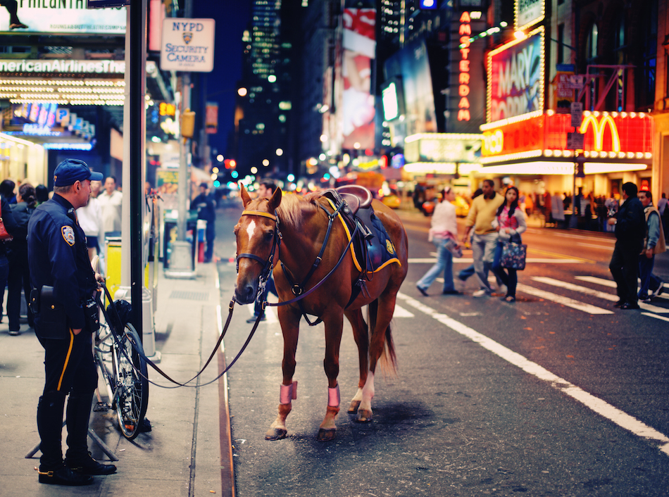 NYPD patrol horse runs around Times Square: Reports