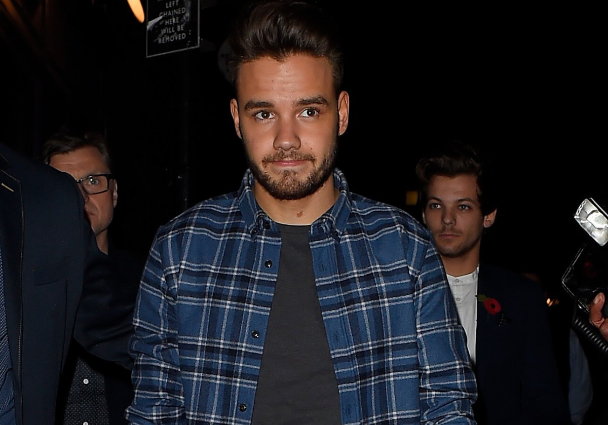 It turns out Liam Payne is a huge Harry Potter nerd