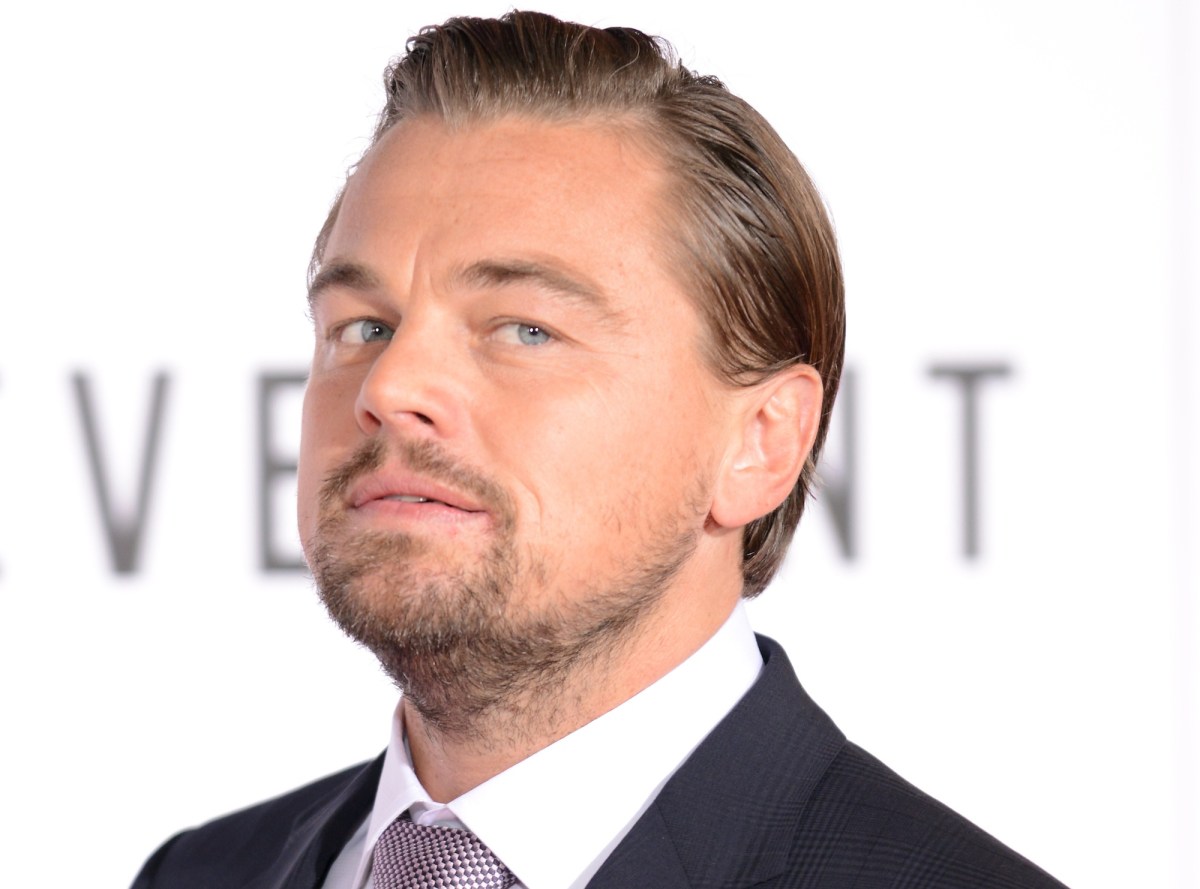 Leonardo DiCaprio is back on the market for 2016