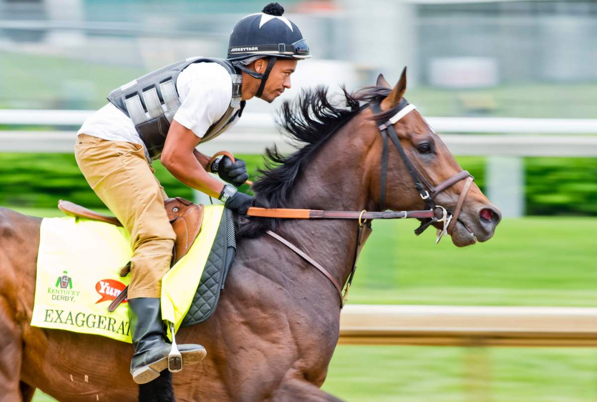 3 horses who could beat Nyquist, thwart Triple Crown hopes
