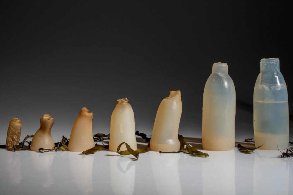 Student designs biodegradable water bottle